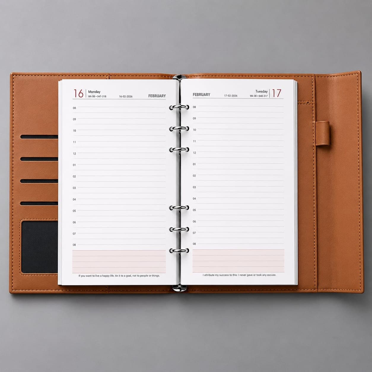 Classic Executive Diary for Business Professionals preview 3